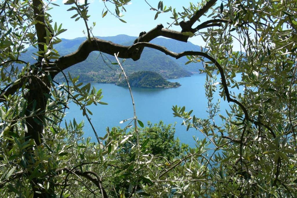 Luci Sul Lago - A Real Paradise 페를레도 외부 사진